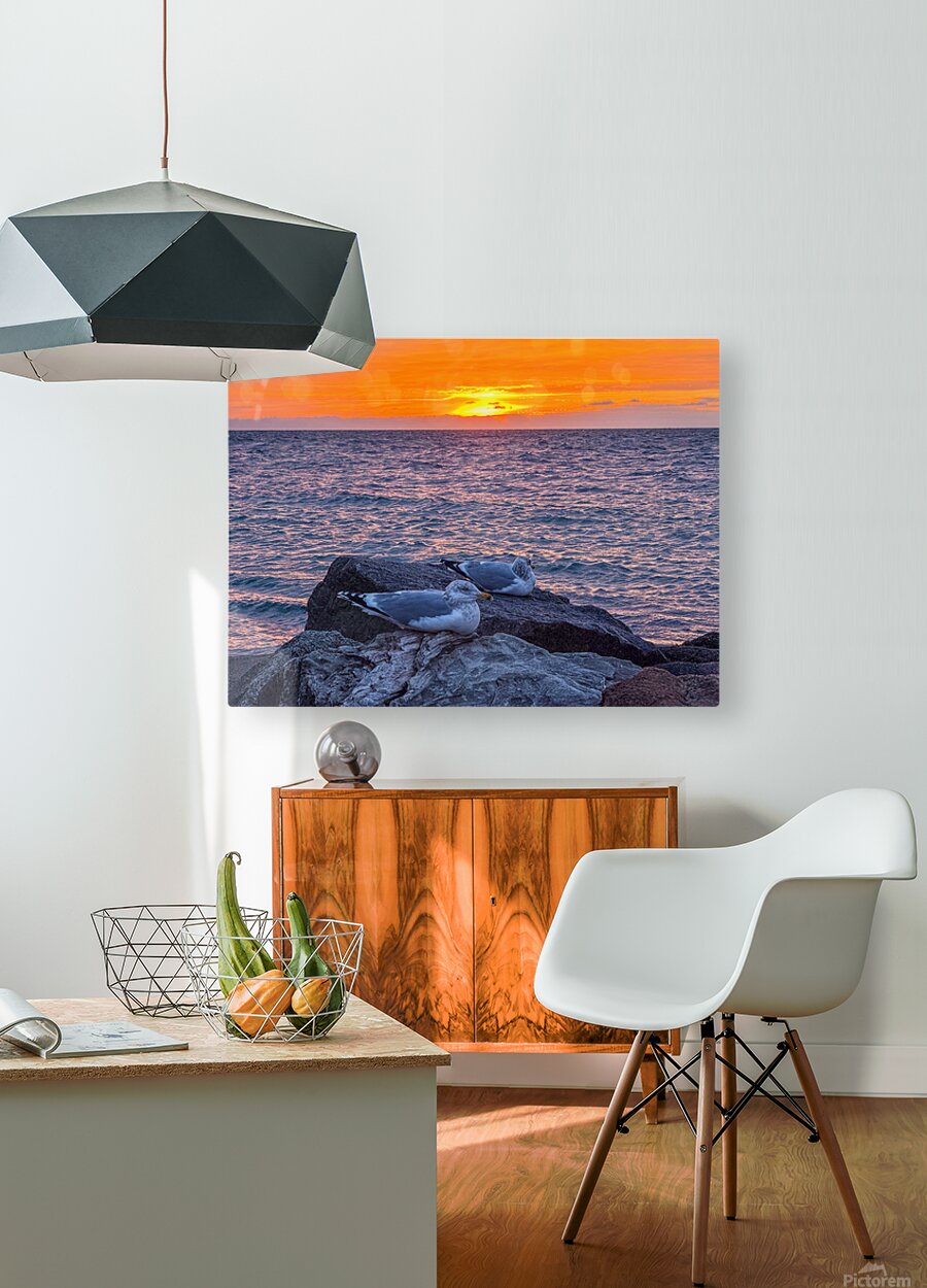 2519744 :: HD Sublimation Metal Print