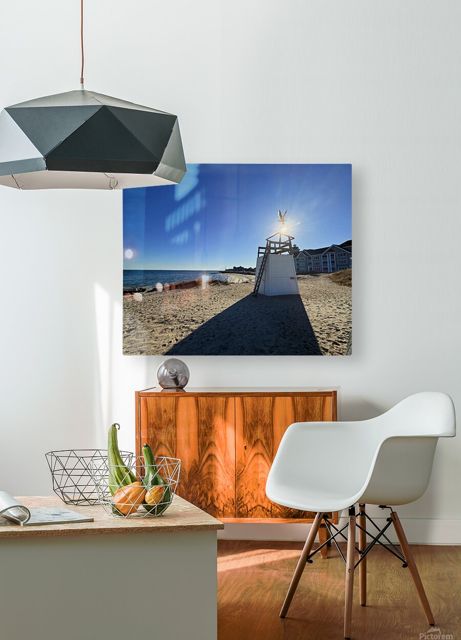 2519943 :: HD Sublimation Metal Print