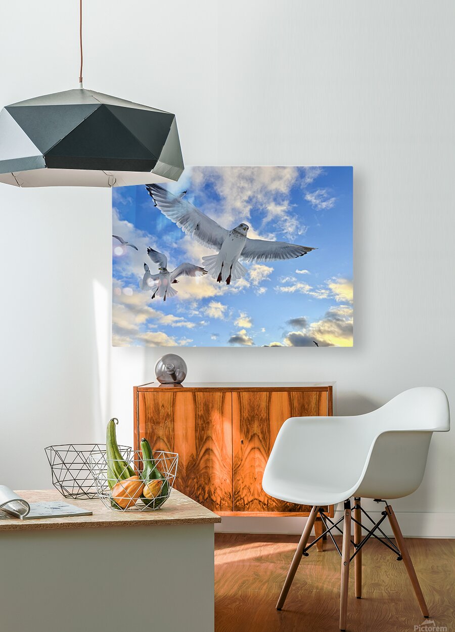 2521715 :: HD Sublimation Metal Print