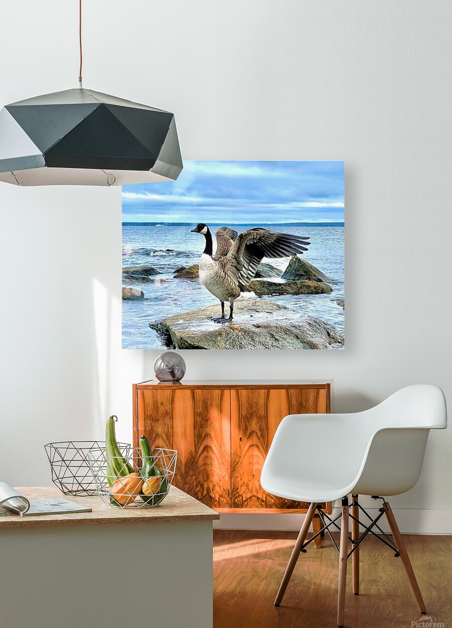 2530909 :: HD Sublimation Metal Print