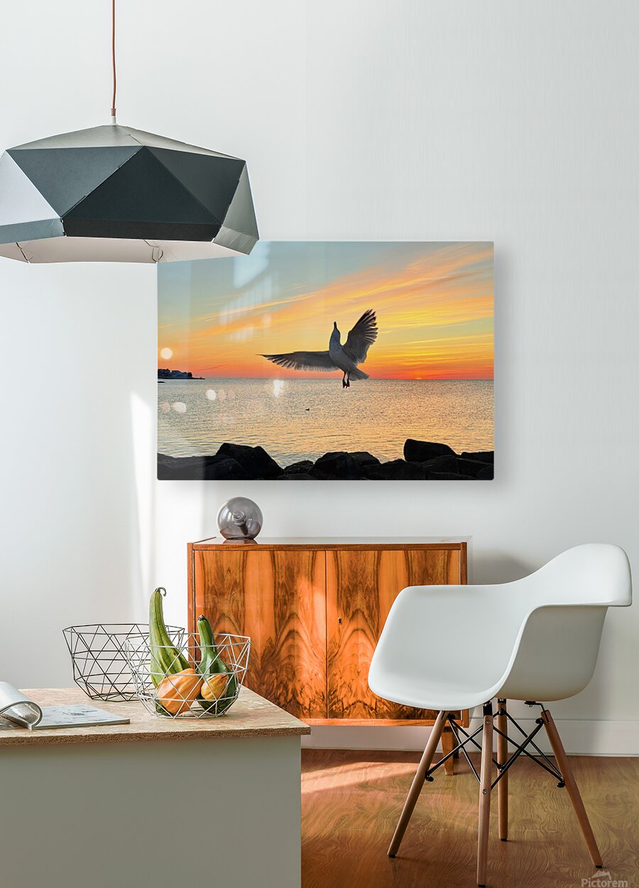 2552657 :: HD Sublimation Metal Print