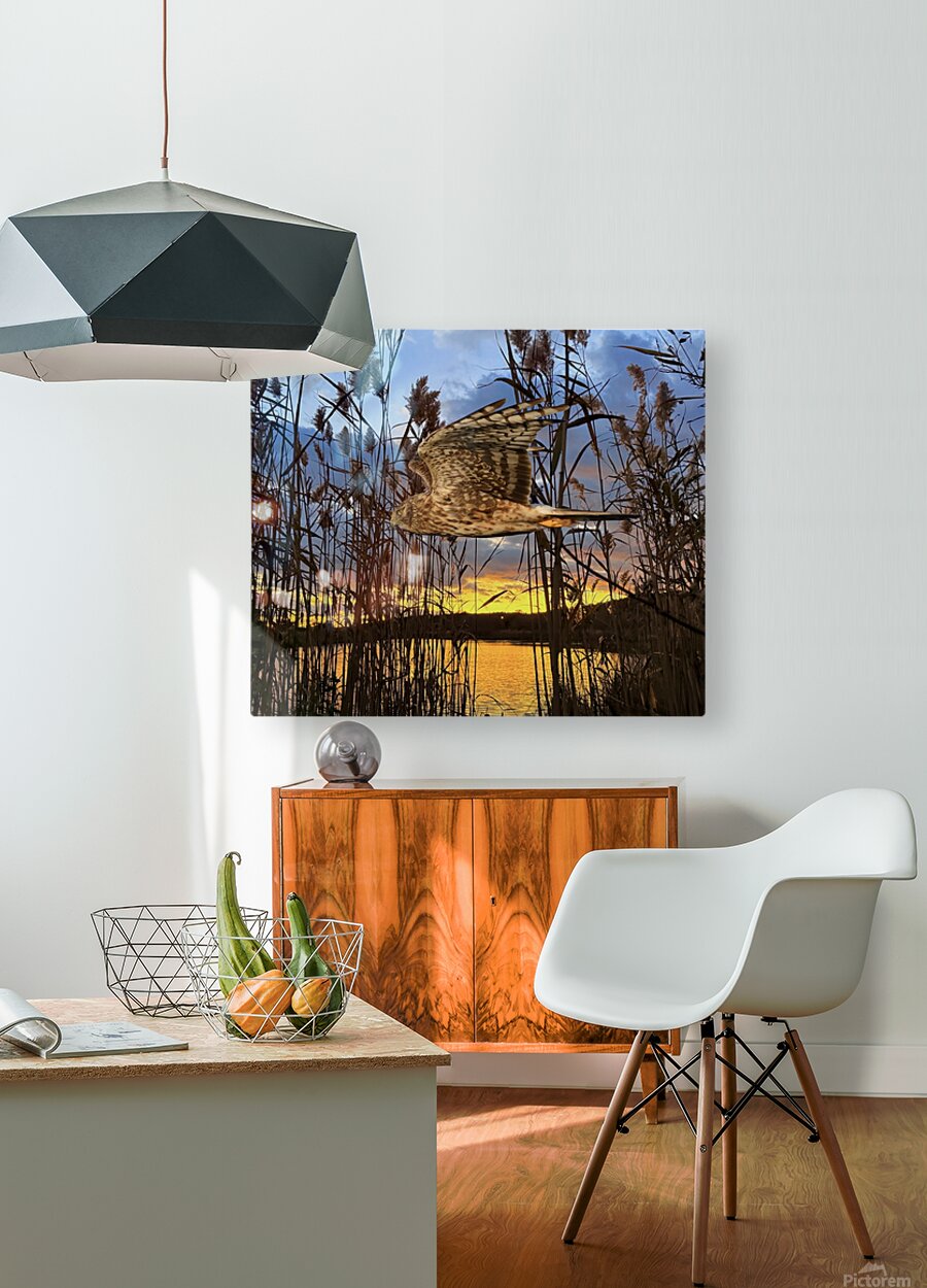 2555294 :: HD Sublimation Metal Print