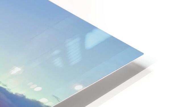 2479261 :: HD Sublimation Metal Print