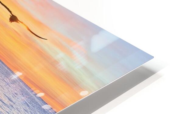 2487268 :: HD Sublimation Metal Print