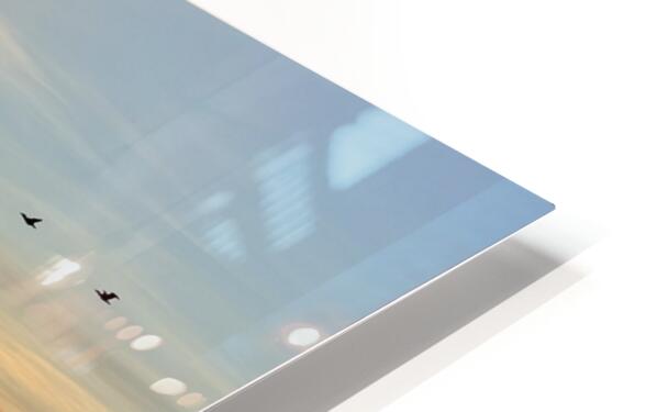 2487902 :: HD Sublimation Metal Print