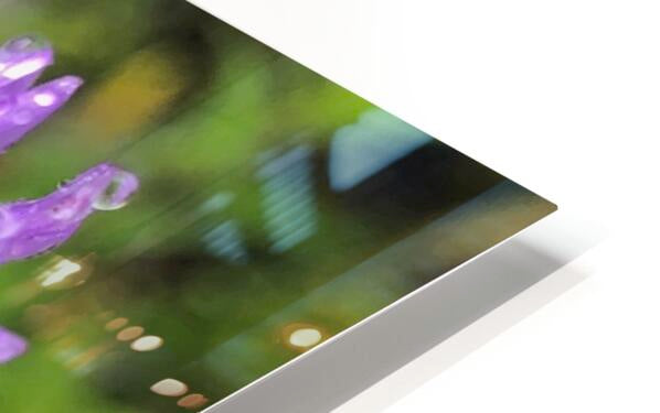 2495638 :: HD Sublimation Metal Print