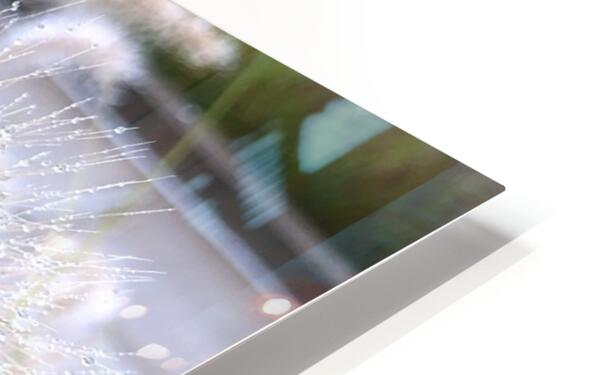 2495642 :: HD Sublimation Metal Print