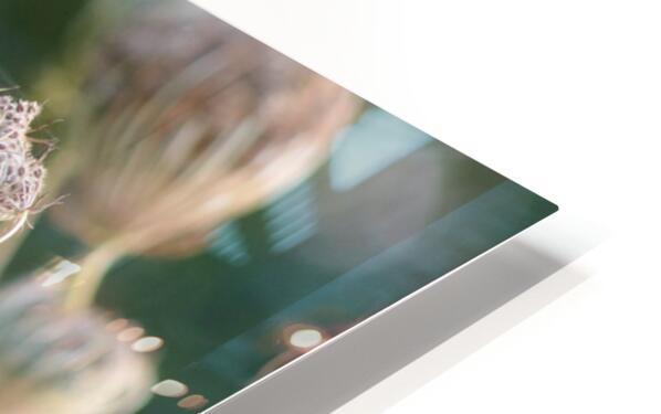 2495654 :: HD Sublimation Metal Print