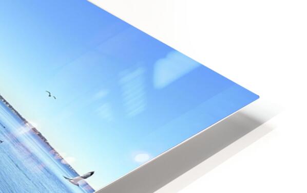 2498578 :: HD Sublimation Metal Print