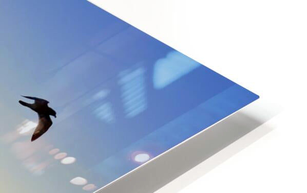 2505539 :: HD Sublimation Metal Print