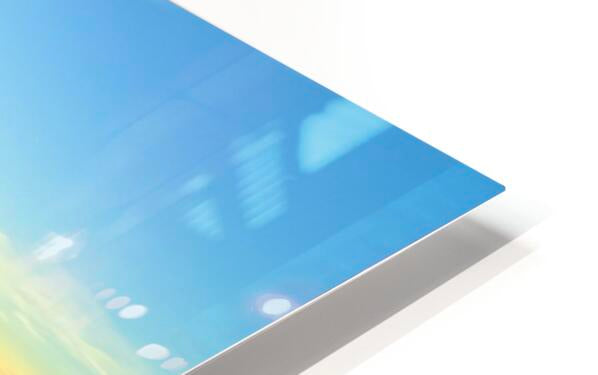 2506977 :: HD Sublimation Metal Print