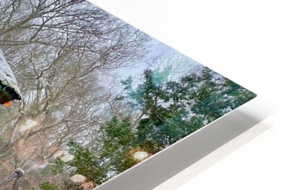 2512026 :: HD Sublimation Metal Print