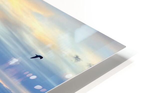 2529222 :: HD Sublimation Metal Print