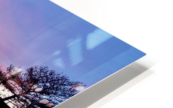 2568708 :: HD Sublimation Metal Print