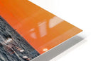 2631195 :: HD Sublimation Metal Print