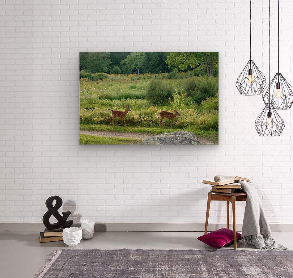 2374222 :: Wood Print