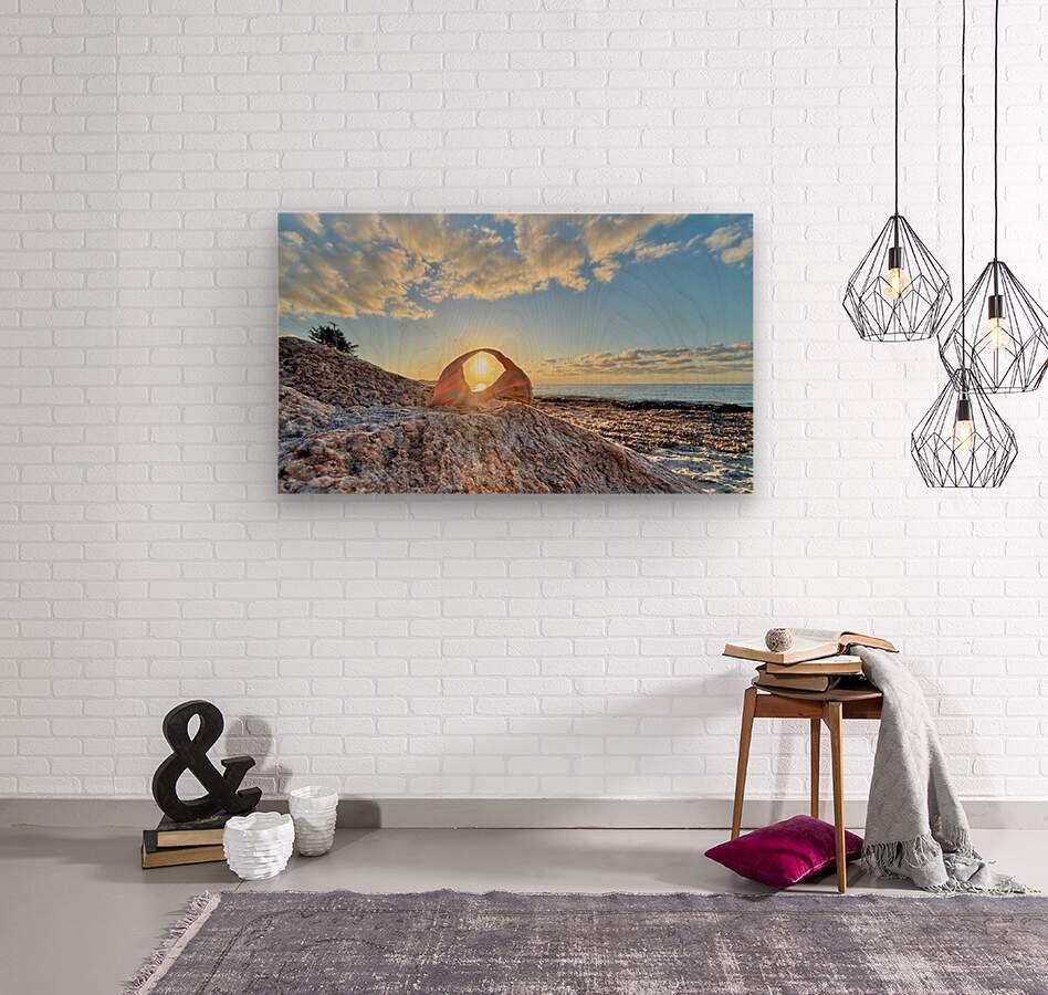 2473990 :: Wood Print