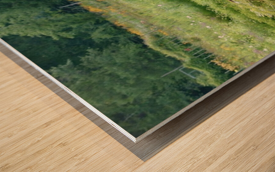 2374222 :: Wood Print