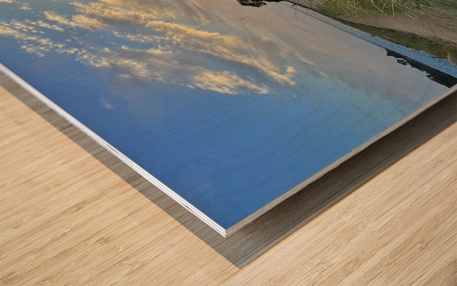 2442746 :: Wood Print