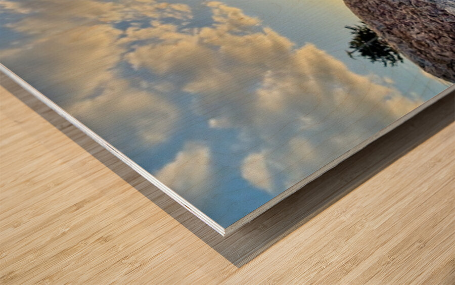 2473990 :: Wood Print