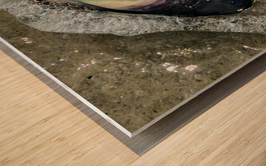 2492666 :: Wood Print