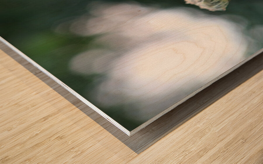 2495654 :: Wood Print